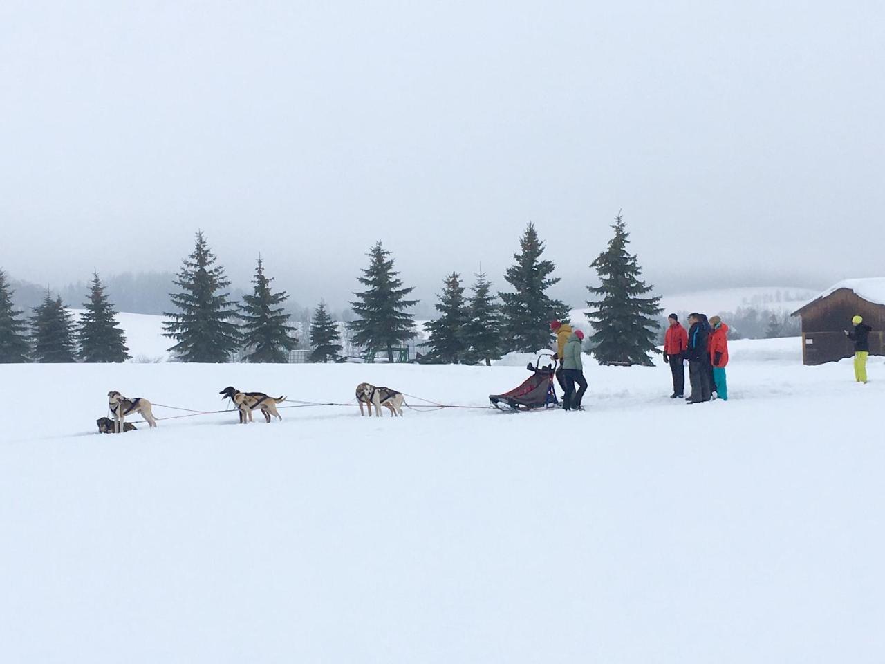 Grund Resort Golf And Ski Mladé Buky エクステリア 写真
